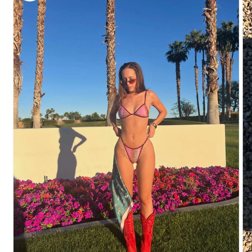 Strawberry Milk Mob Sonic Bikini Bottom